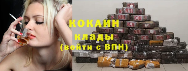 молекула духа Карпинск