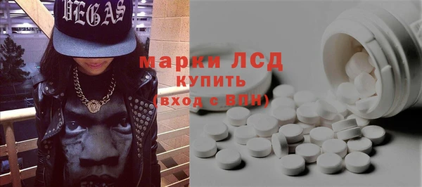 дмт Каменка