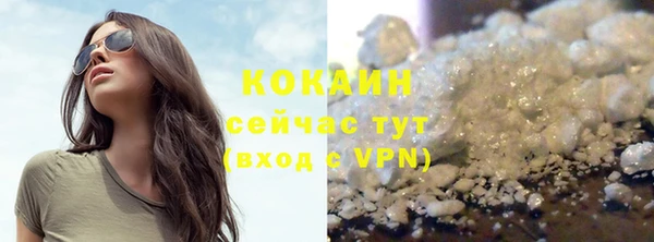 молекула духа Карпинск