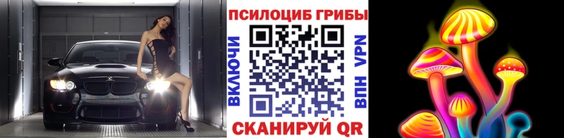 Псилоцибиновые грибы GOLDEN TEACHER  Купить  Майский 